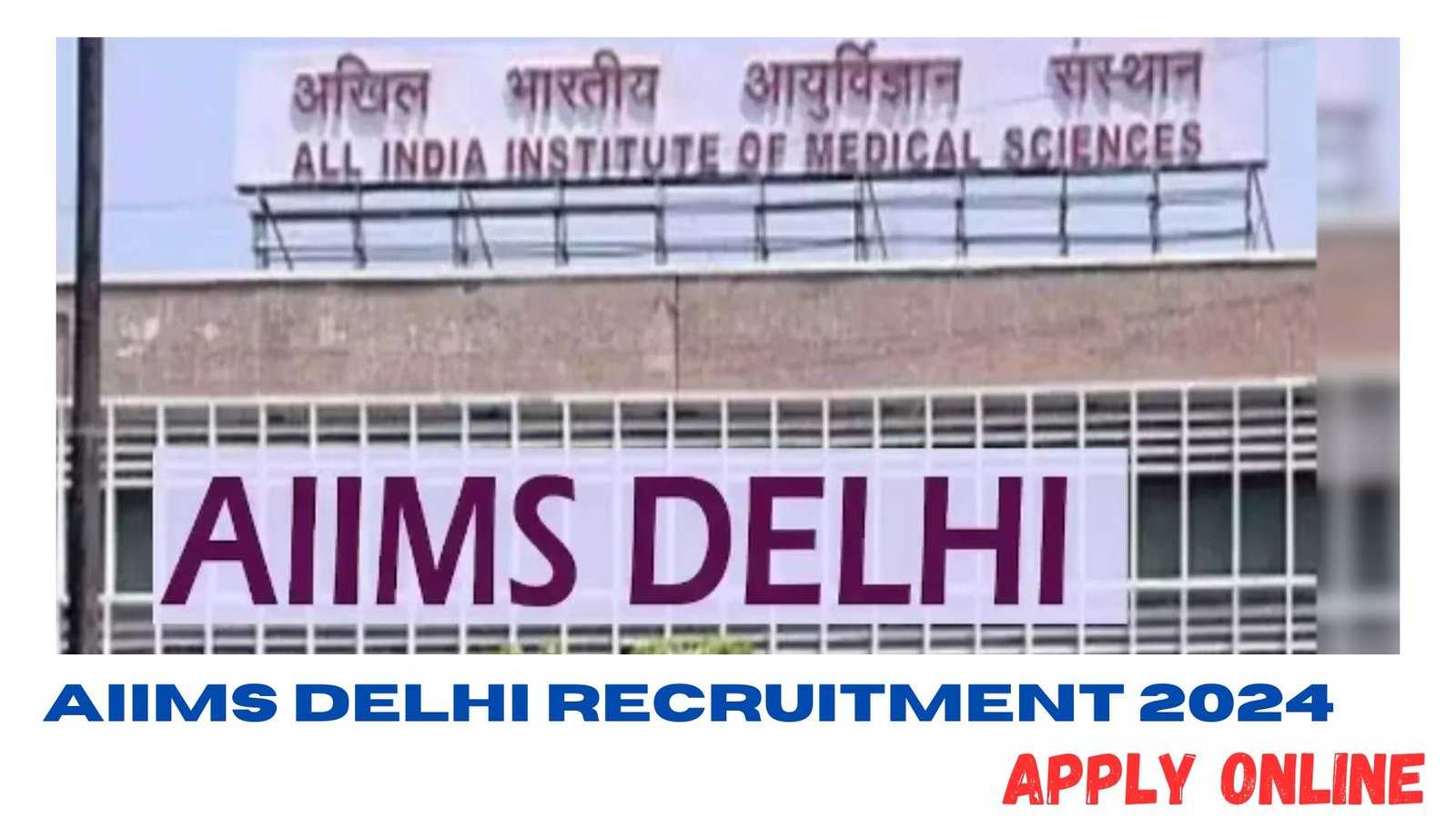 AIIMS Delhi RECRUITMENT 2024