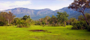 IRCTC Tour Package